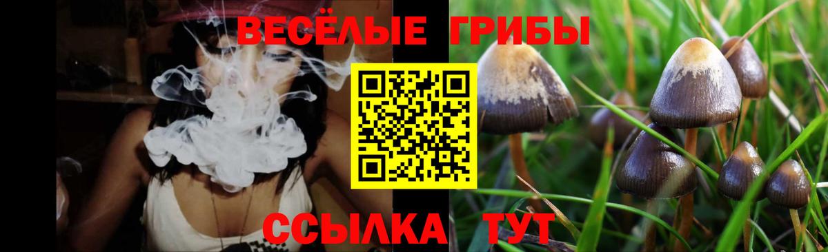 Псилоцибиновые грибы MAGIC MUSHROOMS  Вход с VPN  Псилоцибиновые грибы Magic Shrooms  Семилуки 